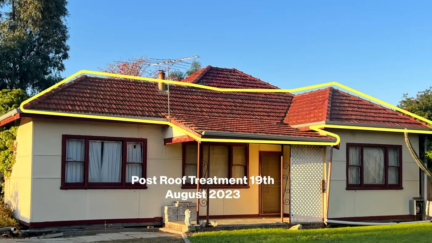 Roof — 15 MONTHS LATER