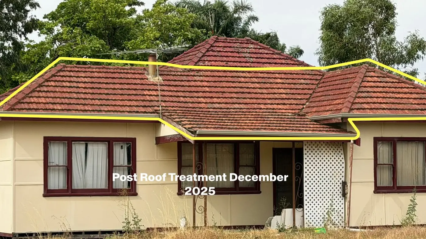Roof — 3½ YEARS LATER